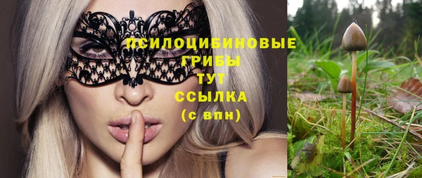 скорость Алексин